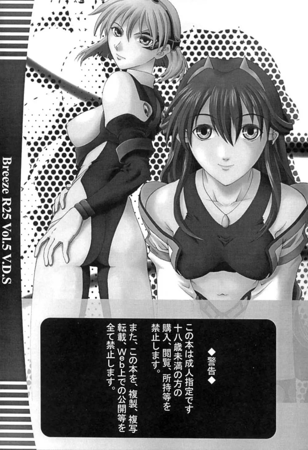 R25 Vol.5 V.D.S - page4