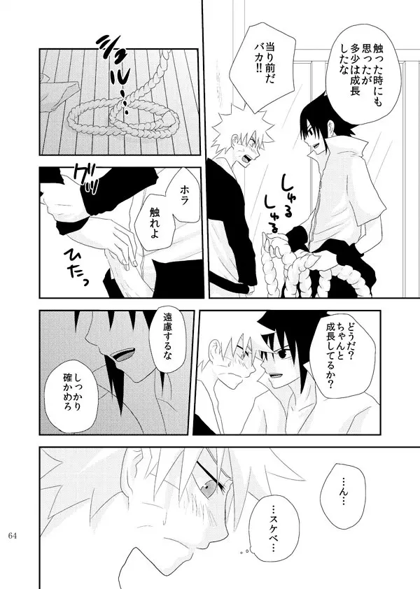 スターチス - page65