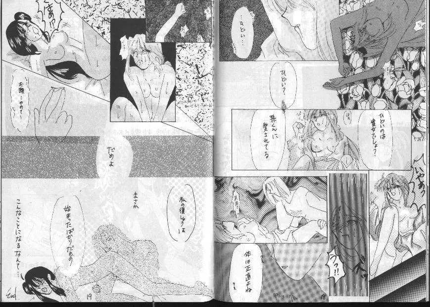 Dragonball for adult - page11