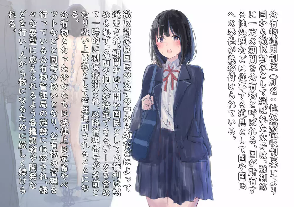 公有物少女 2 ~ 国から人権を剥奪され物として扱われる女の子の話 ~ 二日目編 - page3