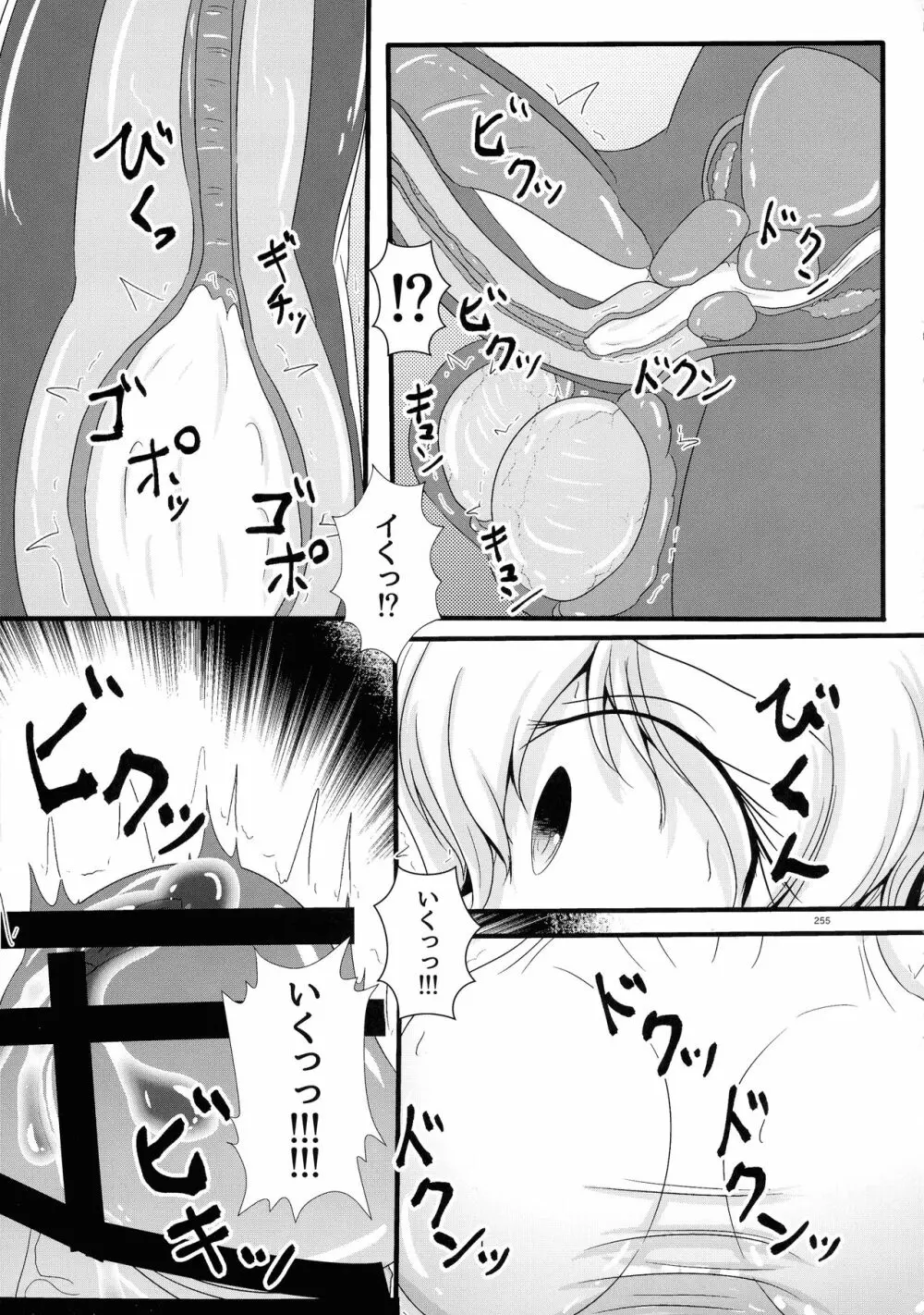 東方おちんぽ生えちゃった合同誌 東方Project - page254