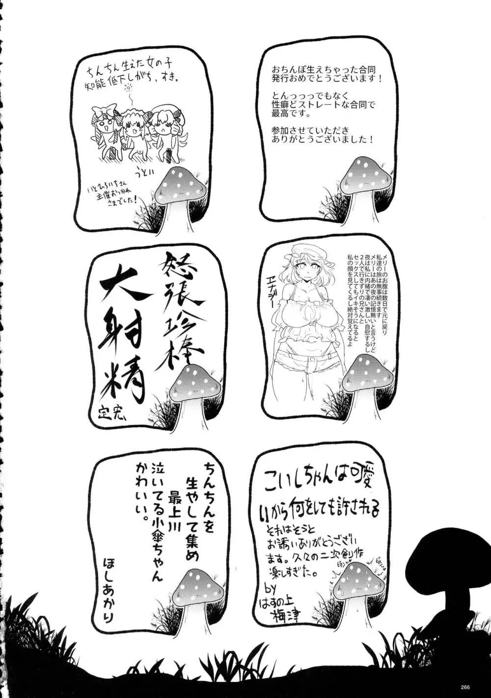 東方おちんぽ生えちゃった合同誌 東方Project - page265
