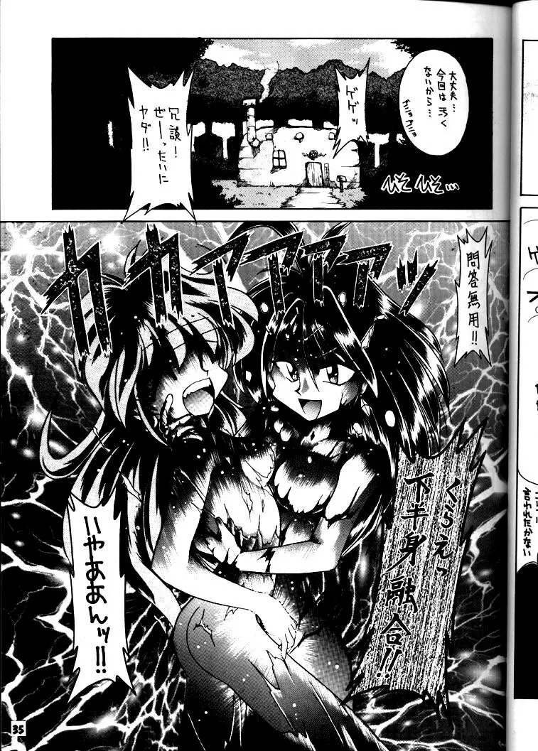 豺 Volume.3 - page34