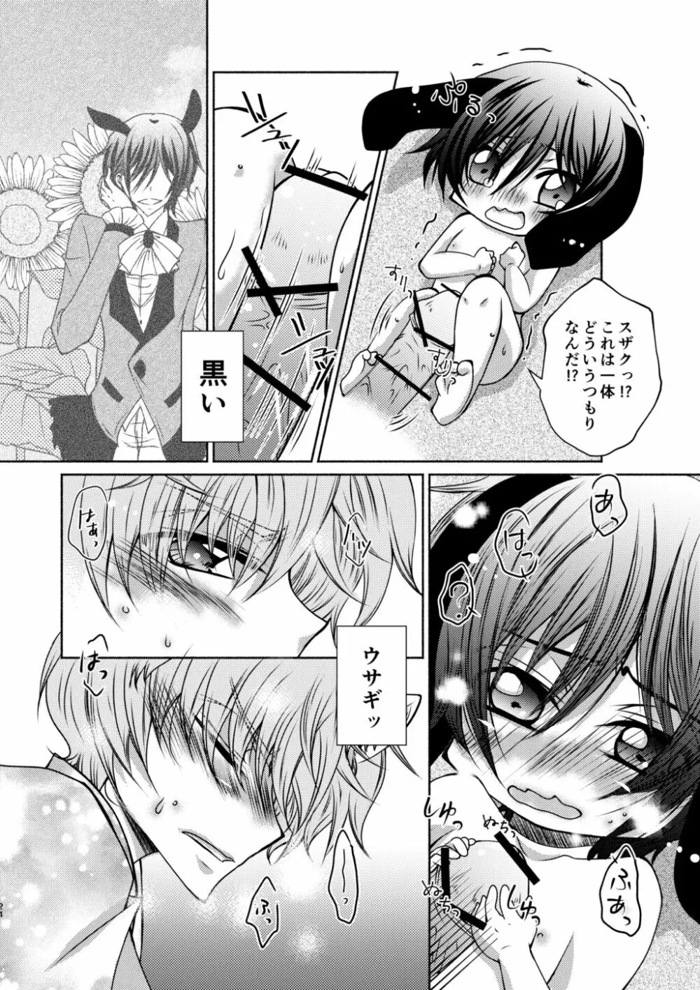 狼スザク×黒兎ルルシュ詰め - page22