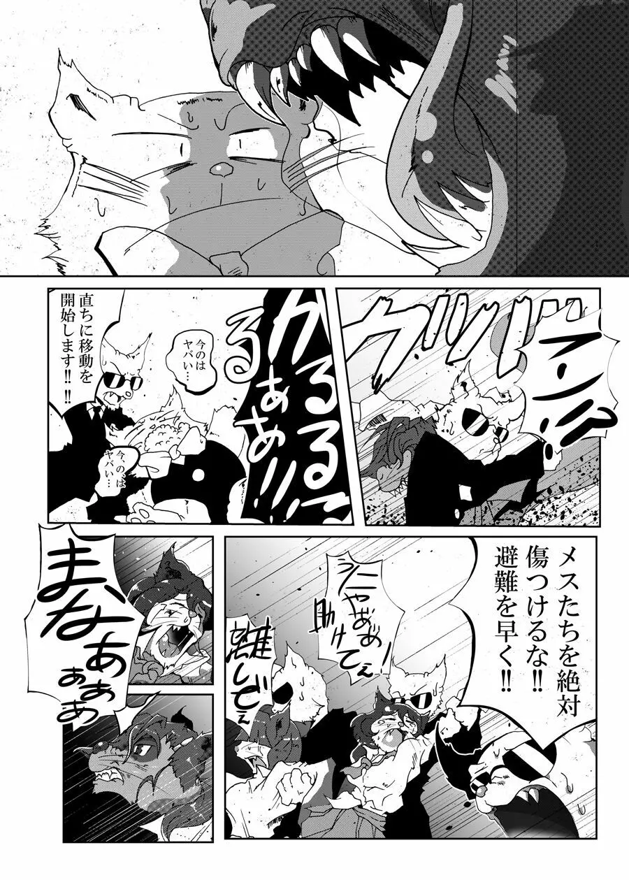 狸猫 ねこぶんのたぬき - page20