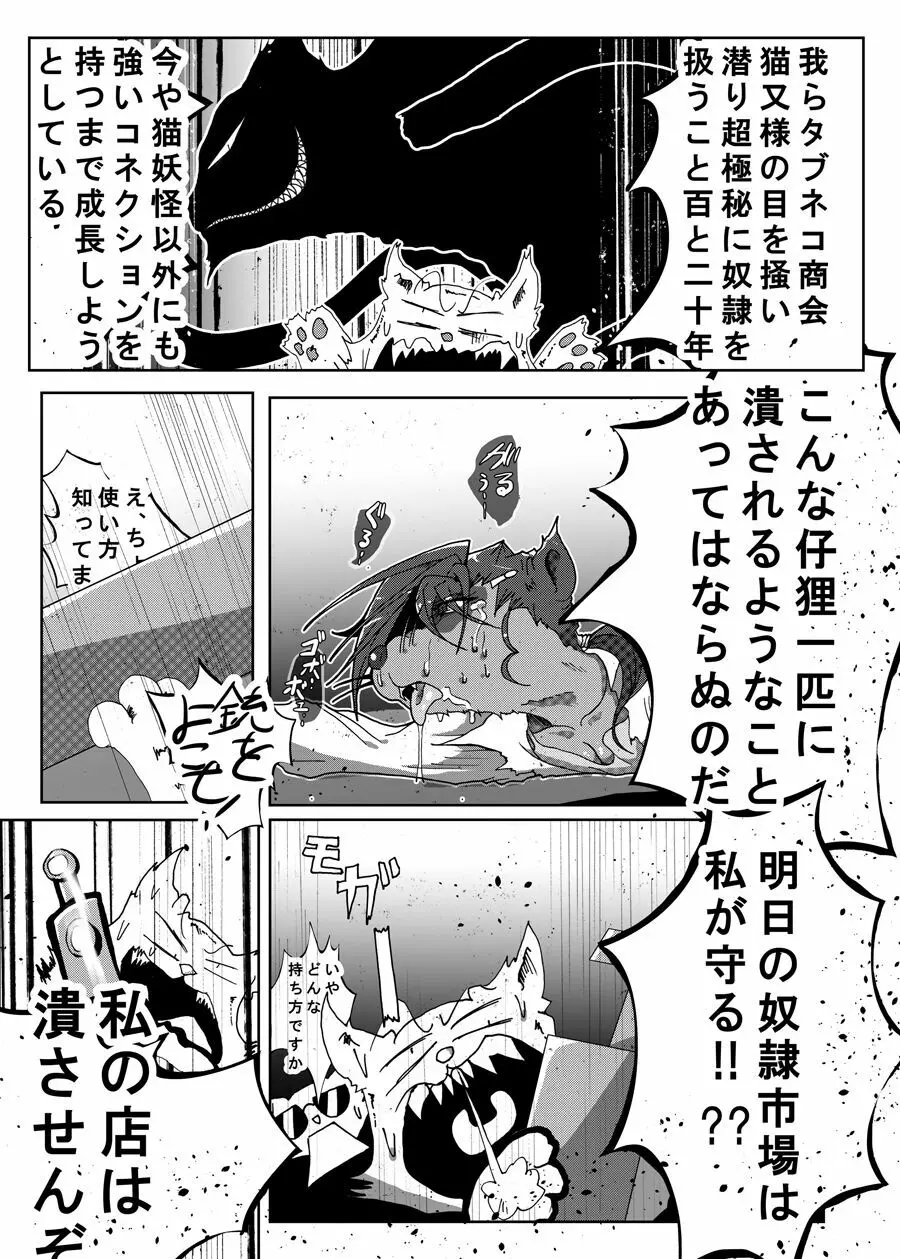 狸猫 ねこぶんのたぬき - page23