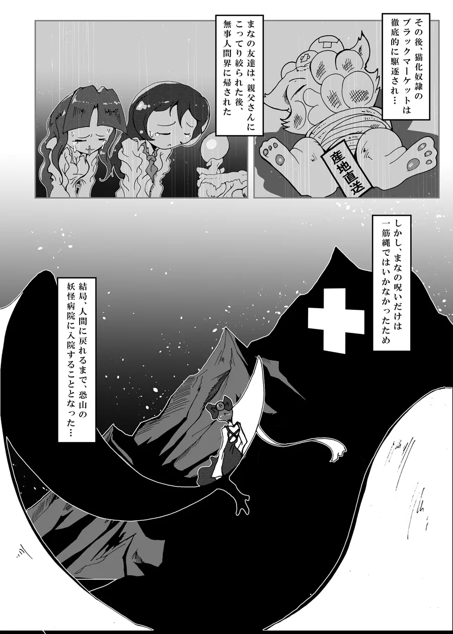 狸猫 ねこぶんのたぬき - page27