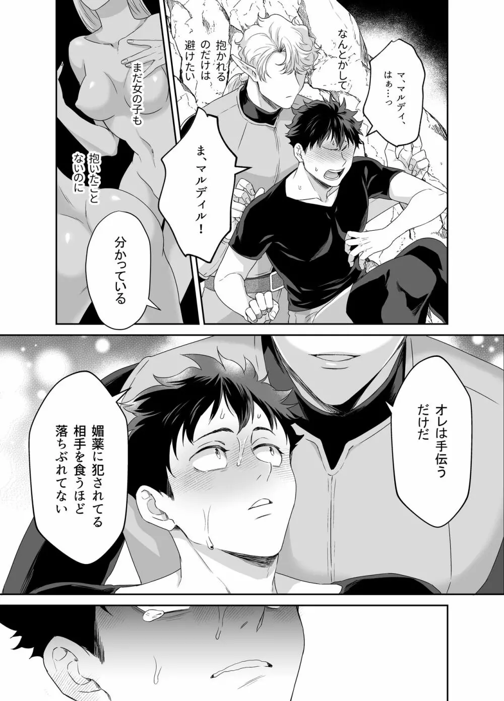勇者さん巨根エルフと異世界孕ませ旅 - page14