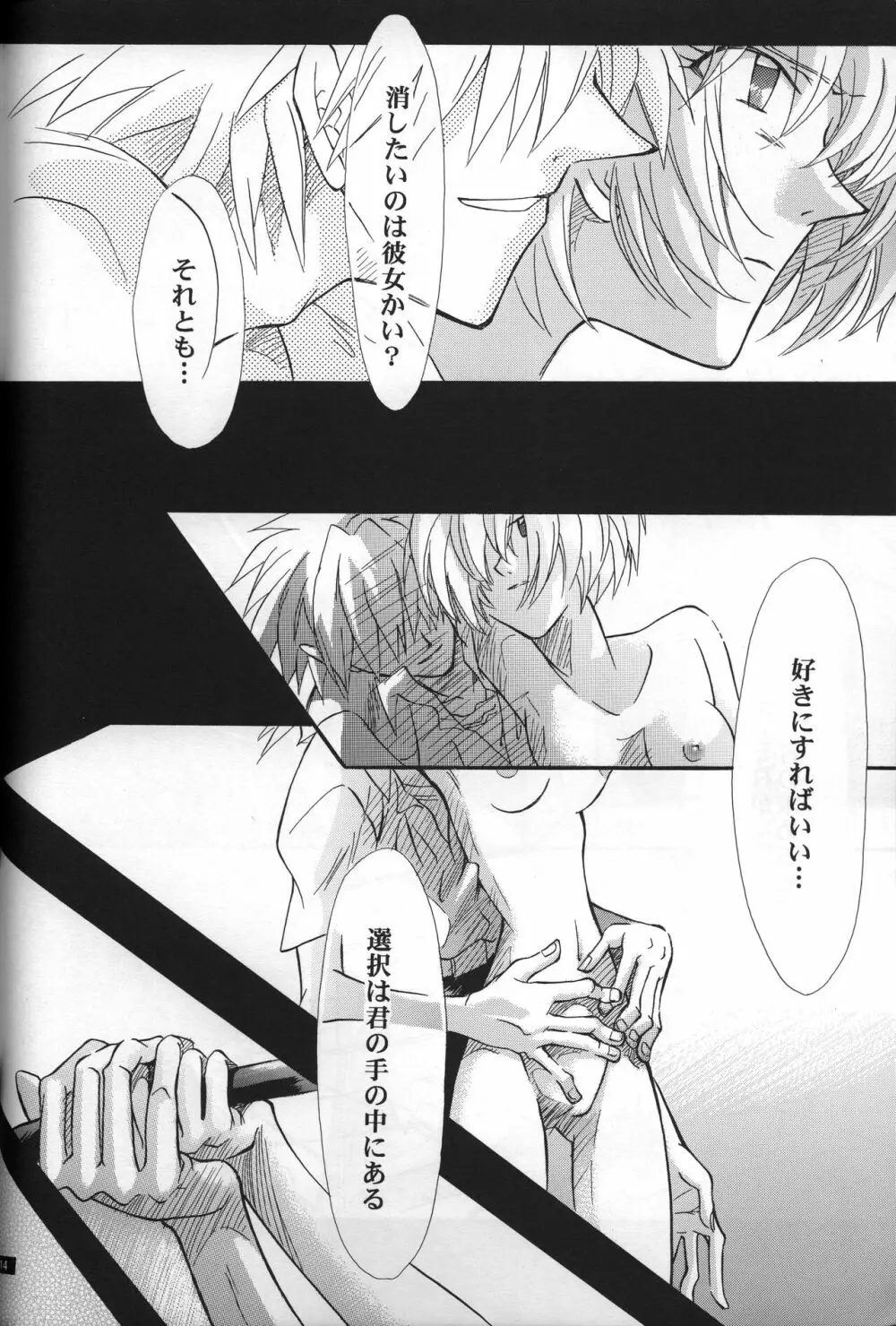 <新約> NEON GENESIS document R - page15