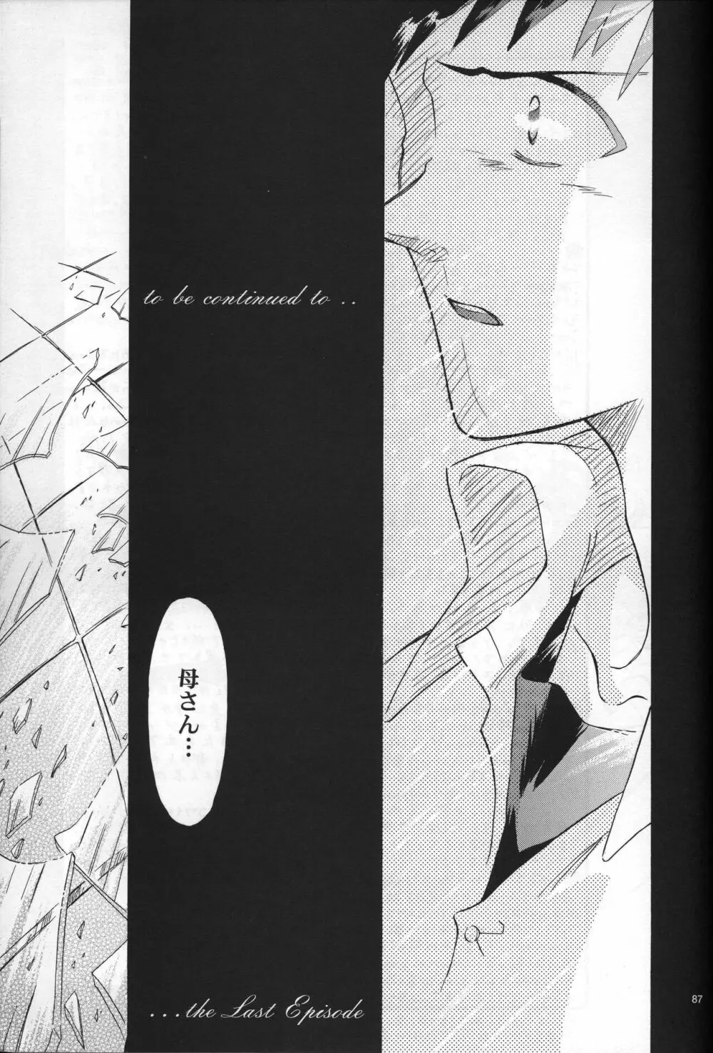 <新約> NEON GENESIS document R - page88