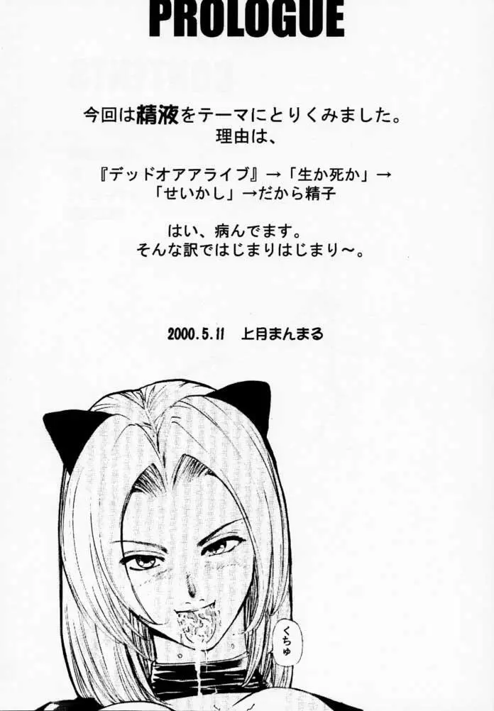 DOA2 shunka soushuuban tokoton rez - page2