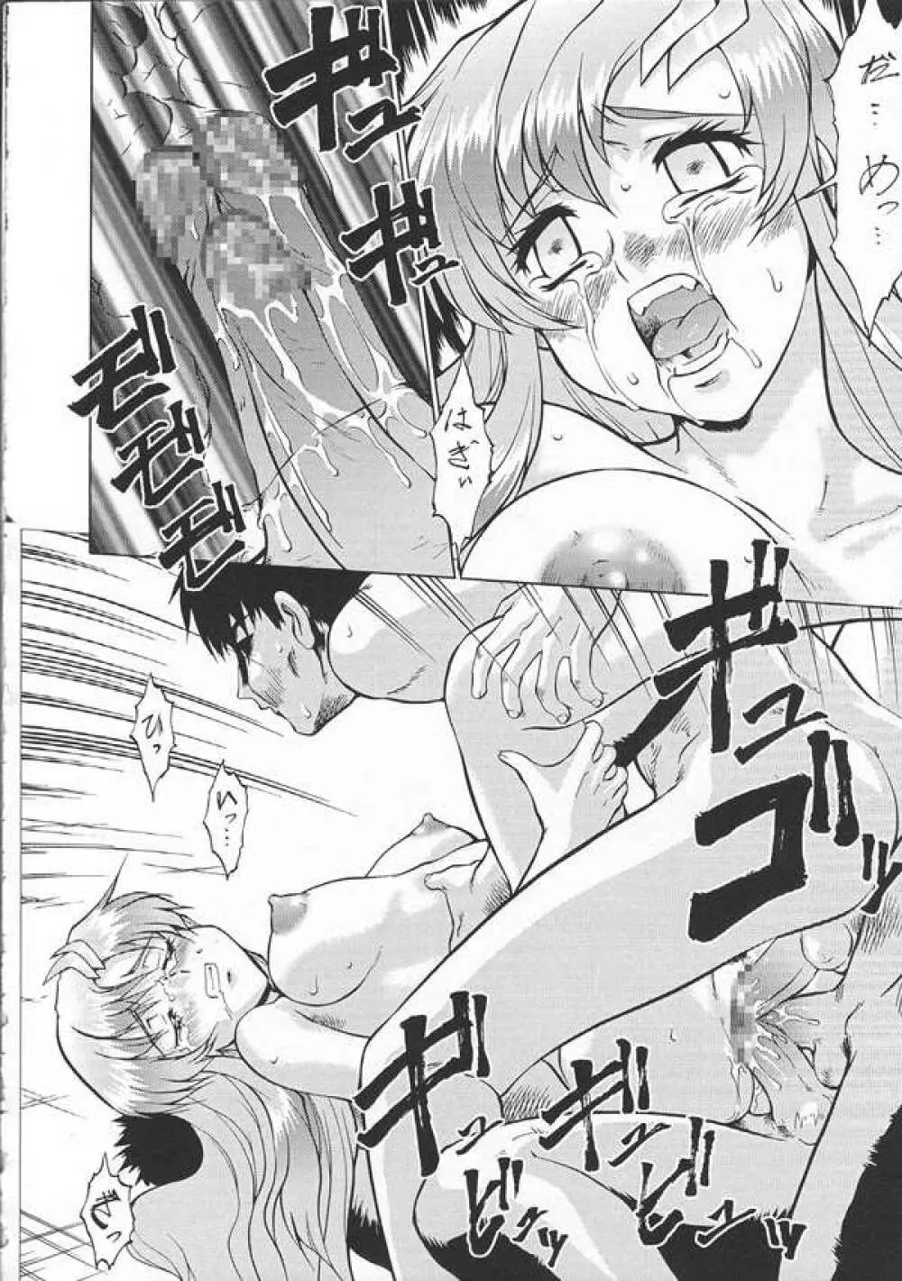 SEEDファンのお姉ちゃんが見たら怒るから見ないで頂戴本2 - page39