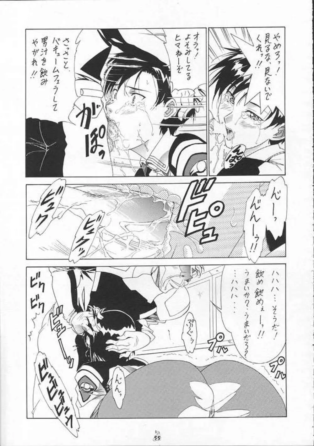 SEEDファンのお姉ちゃんが見たら怒るから見ないで頂戴本2 - page54