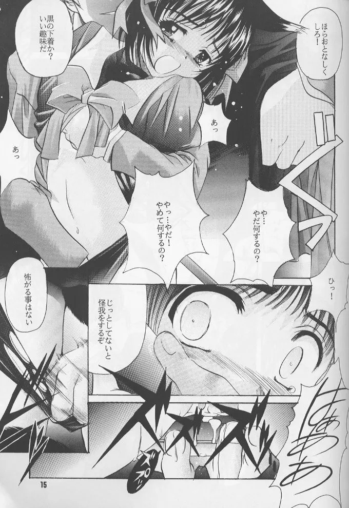 瑠璃 いやらしい子猫のしつけ方 - page14