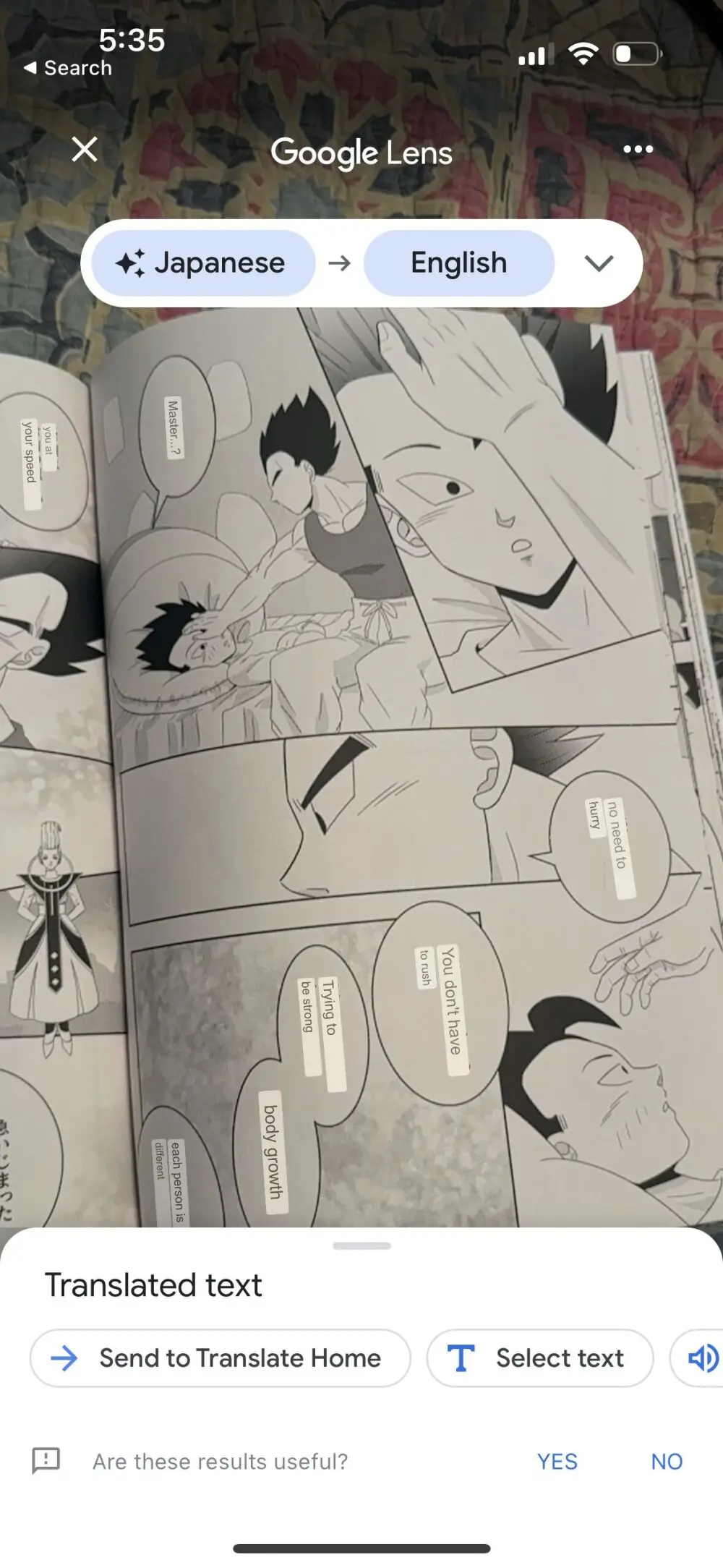 Broly - page32