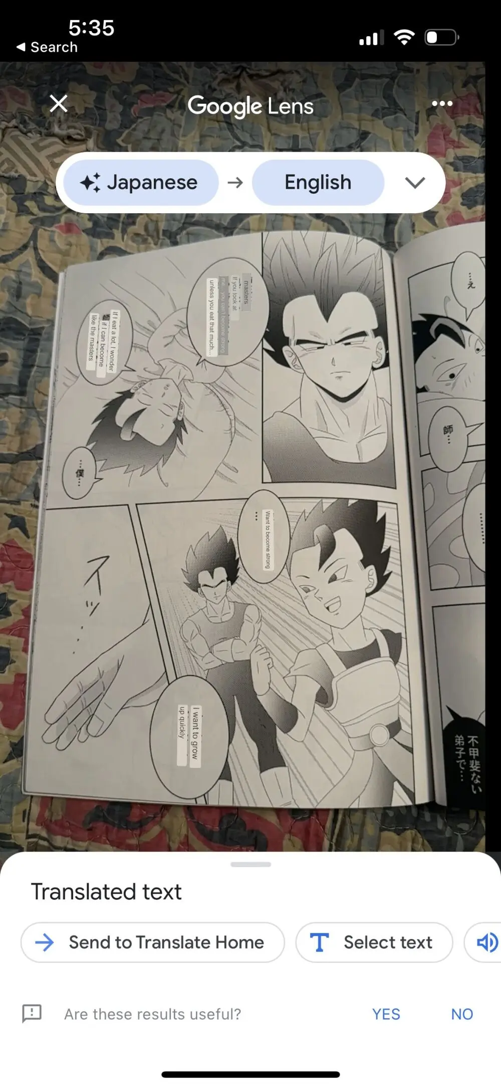 Broly - page33