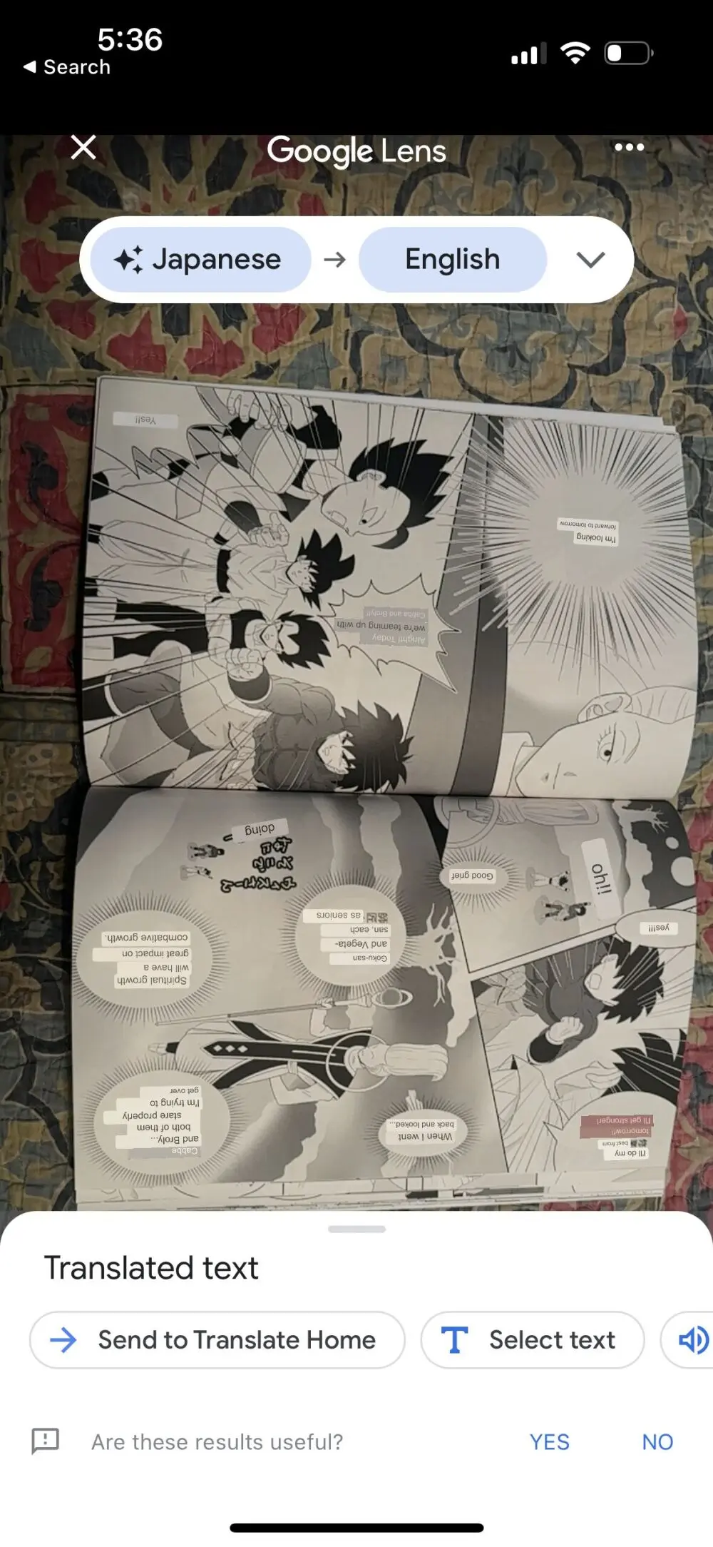 Broly - page41