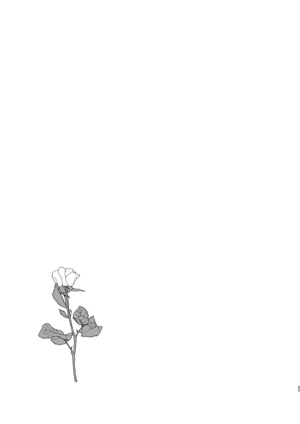 光輪の小箱 -ひかりのこばこ- - page26