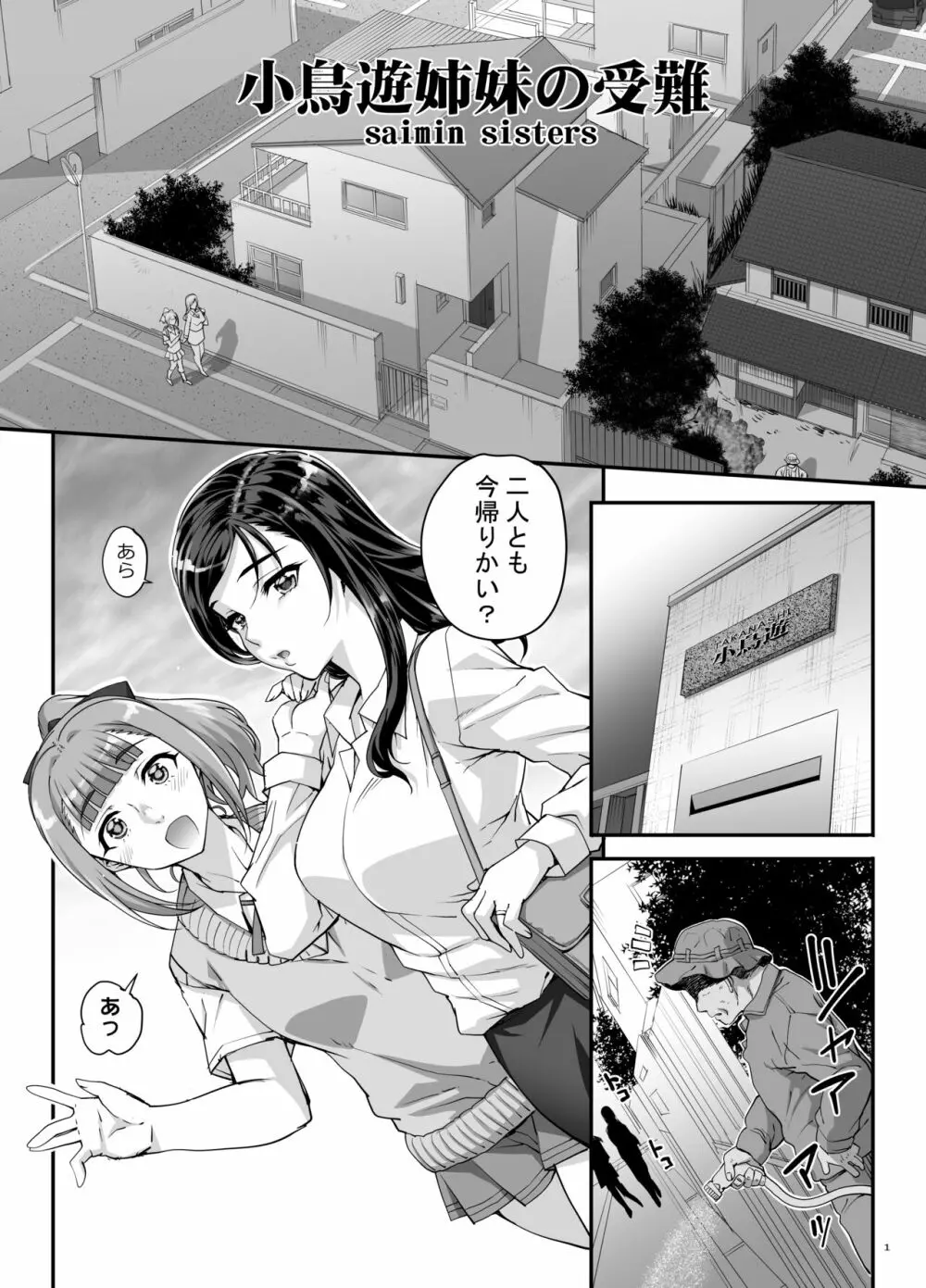 小鳥遊姉妹の受難 - page2