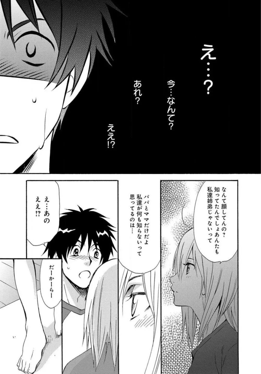 姉の肉蜜 - page10