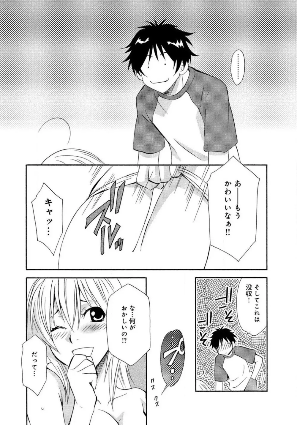 姉の肉蜜 - page15