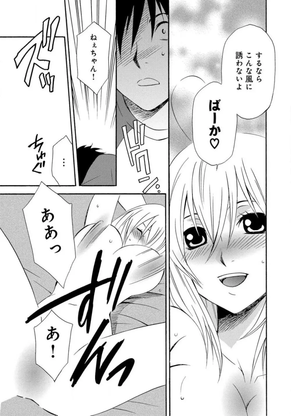 姉の肉蜜 - page18
