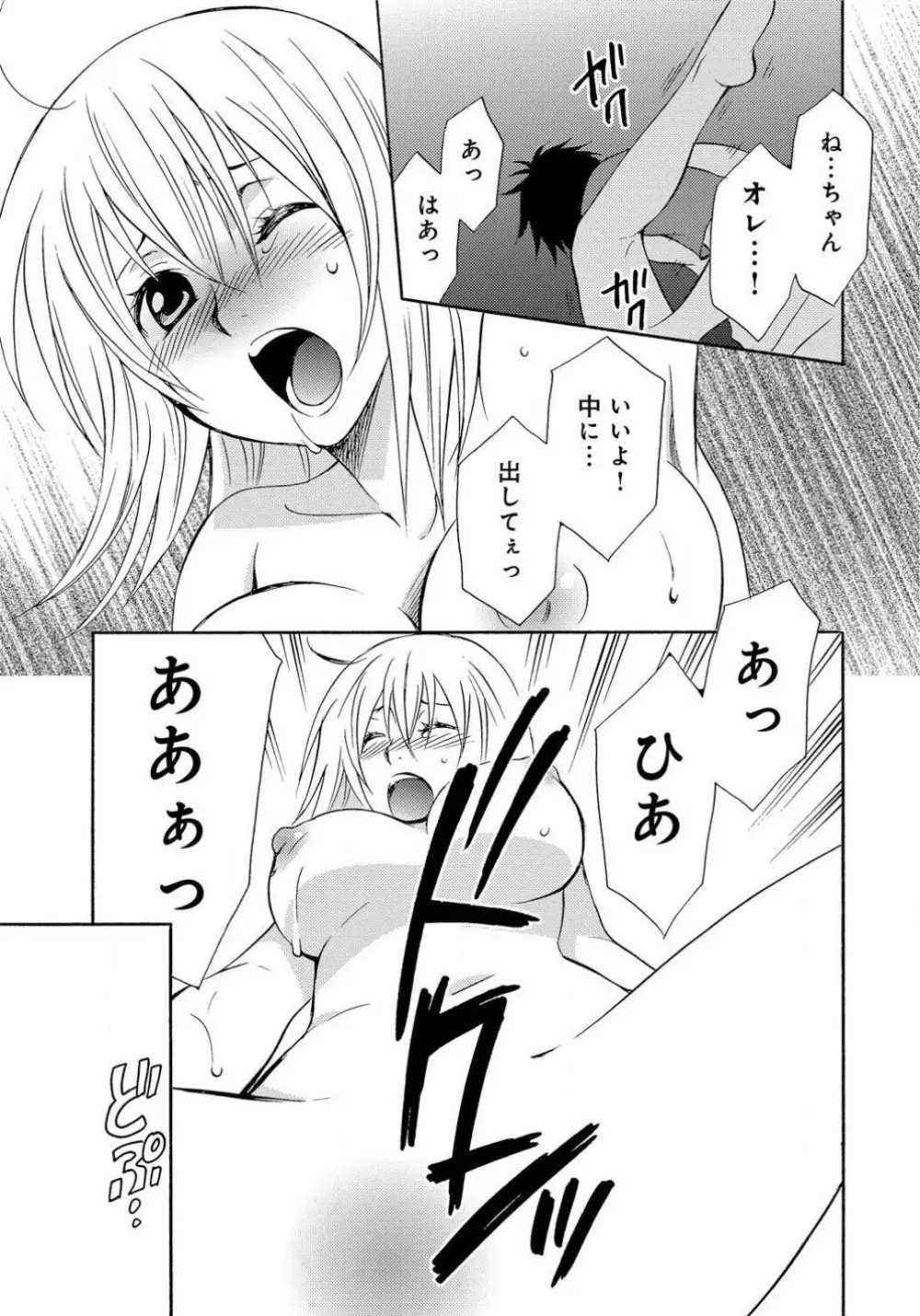 姉の肉蜜 - page20