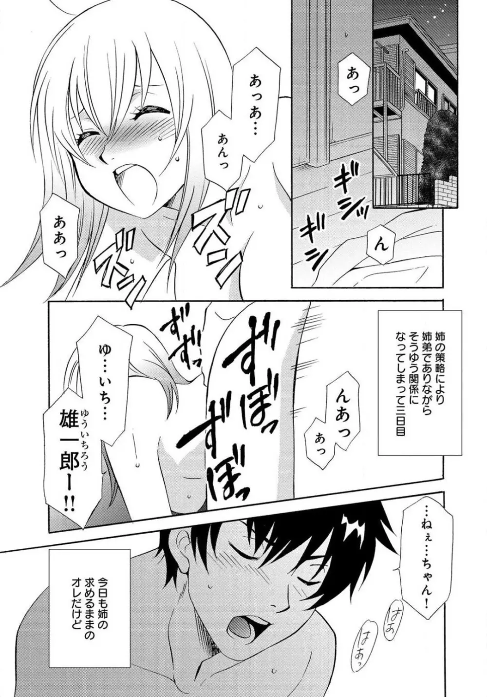 姉の肉蜜 - page23