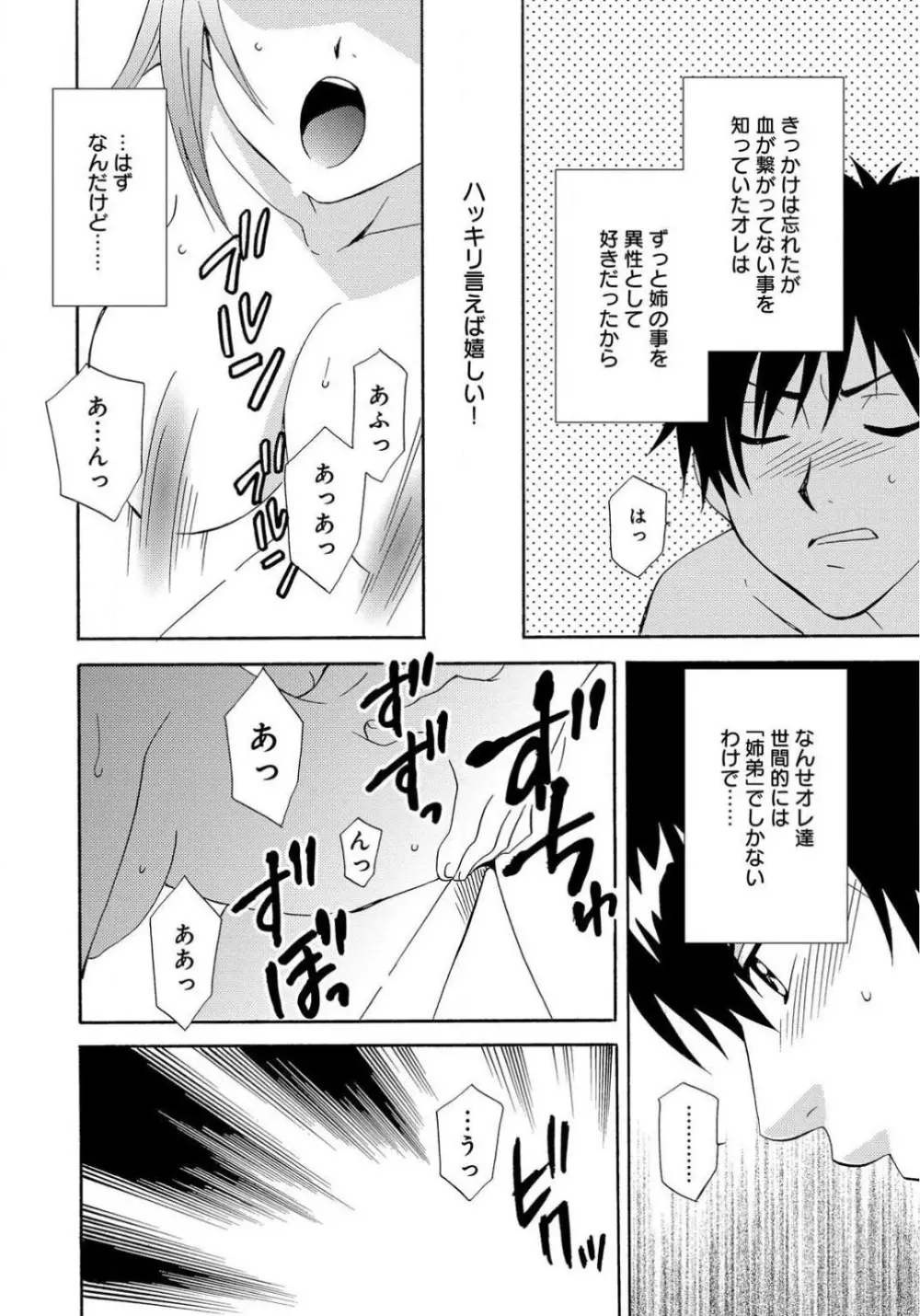 姉の肉蜜 - page24
