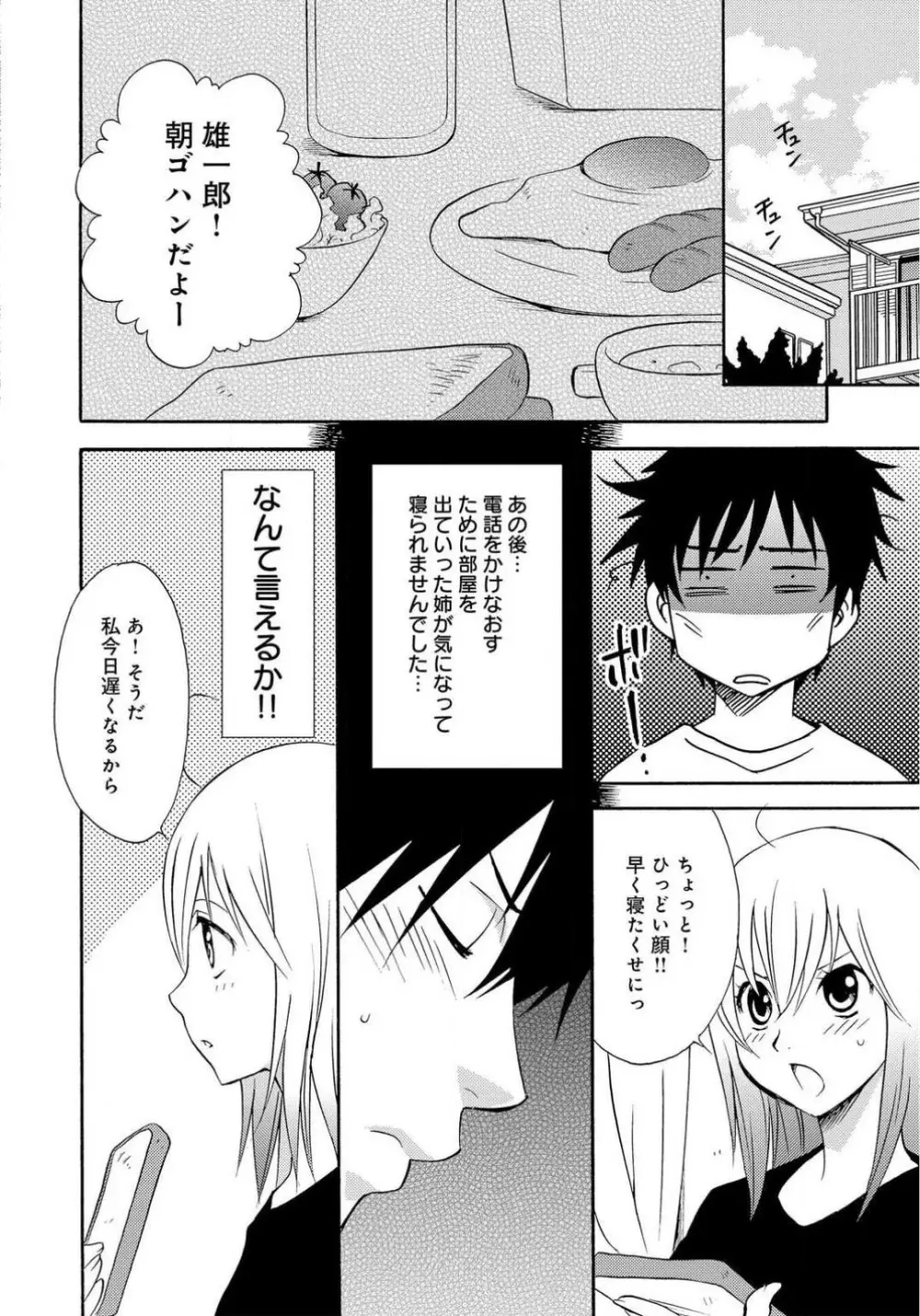 姉の肉蜜 - page28