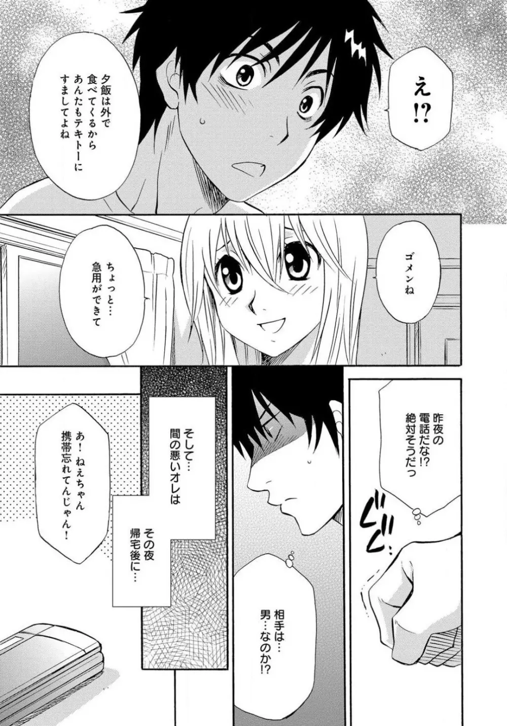 姉の肉蜜 - page29