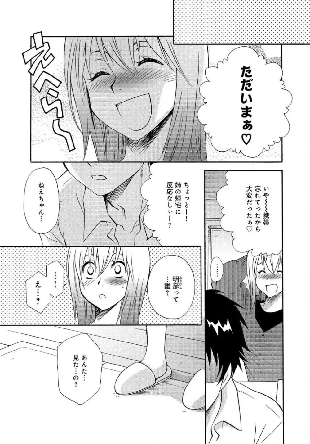 姉の肉蜜 - page31