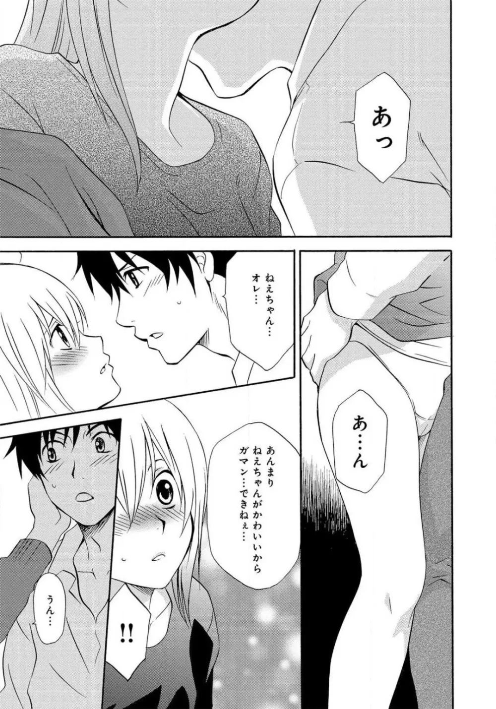 姉の肉蜜 - page37
