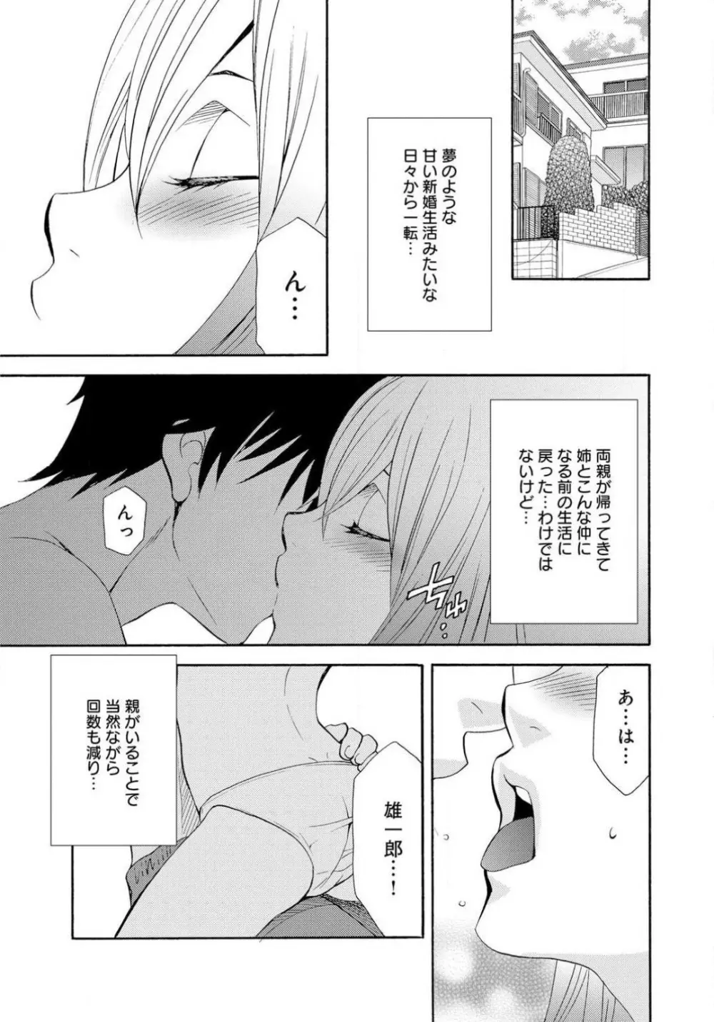 姉の肉蜜 - page44