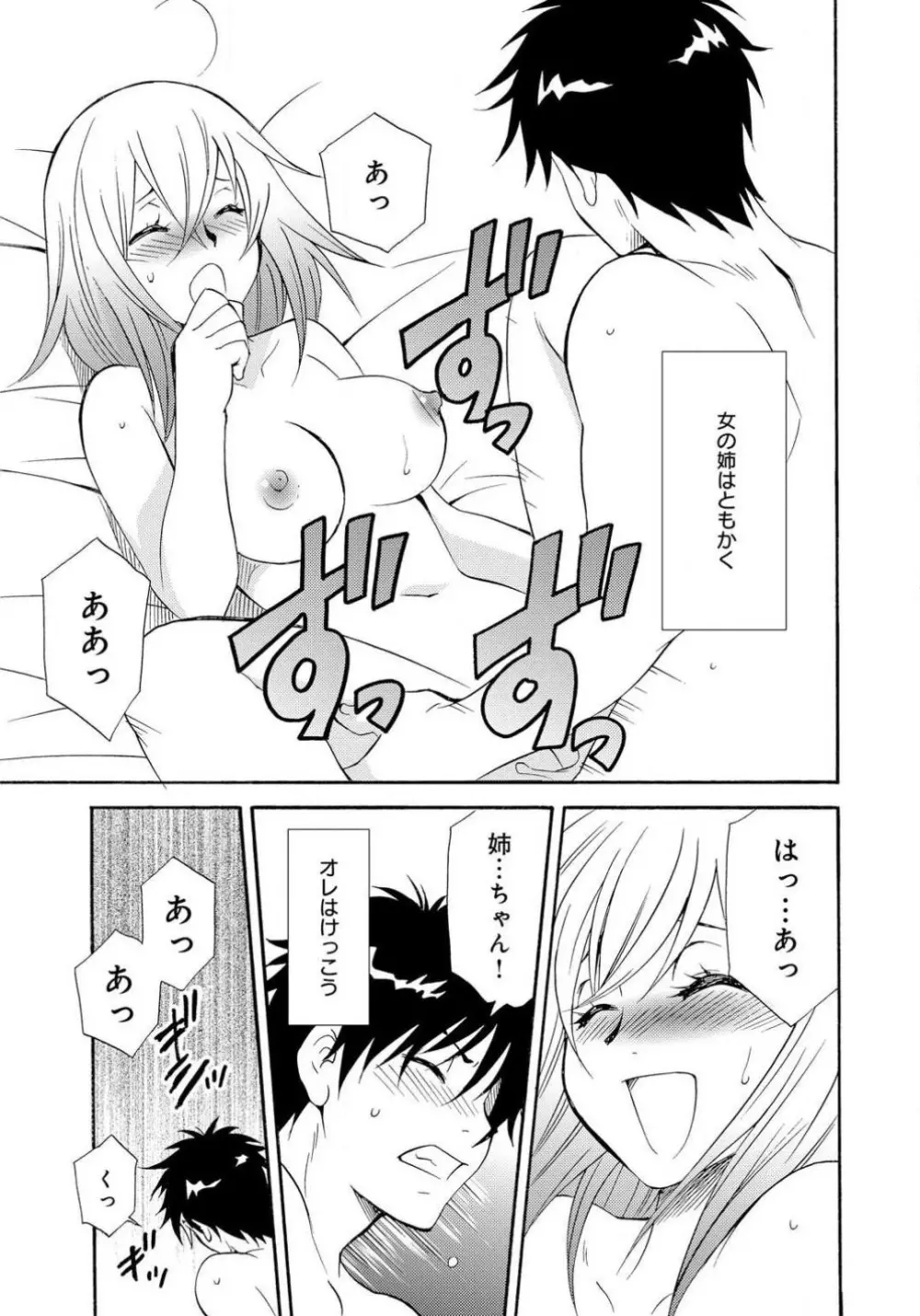 姉の肉蜜 - page46