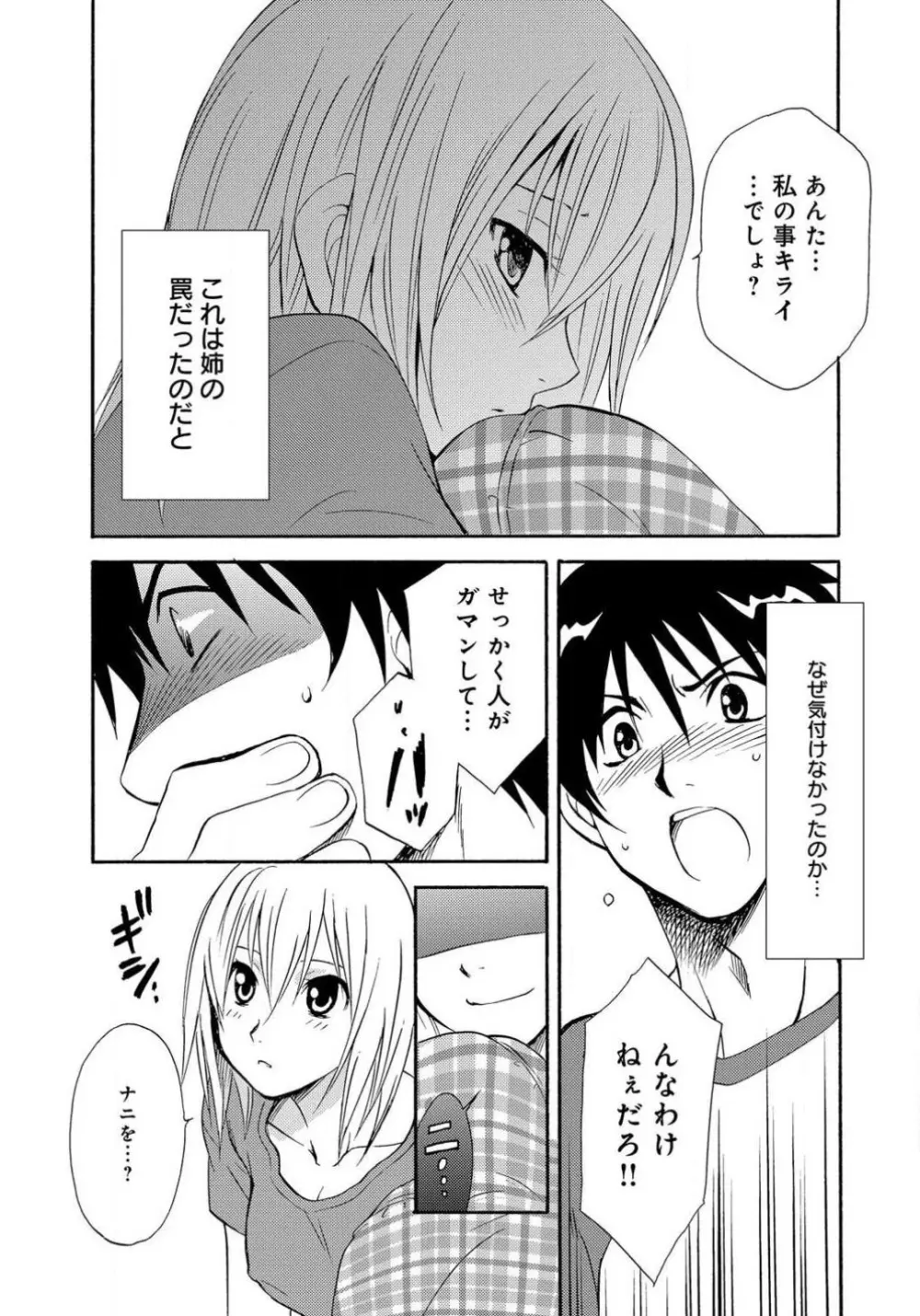 姉の肉蜜 - page8