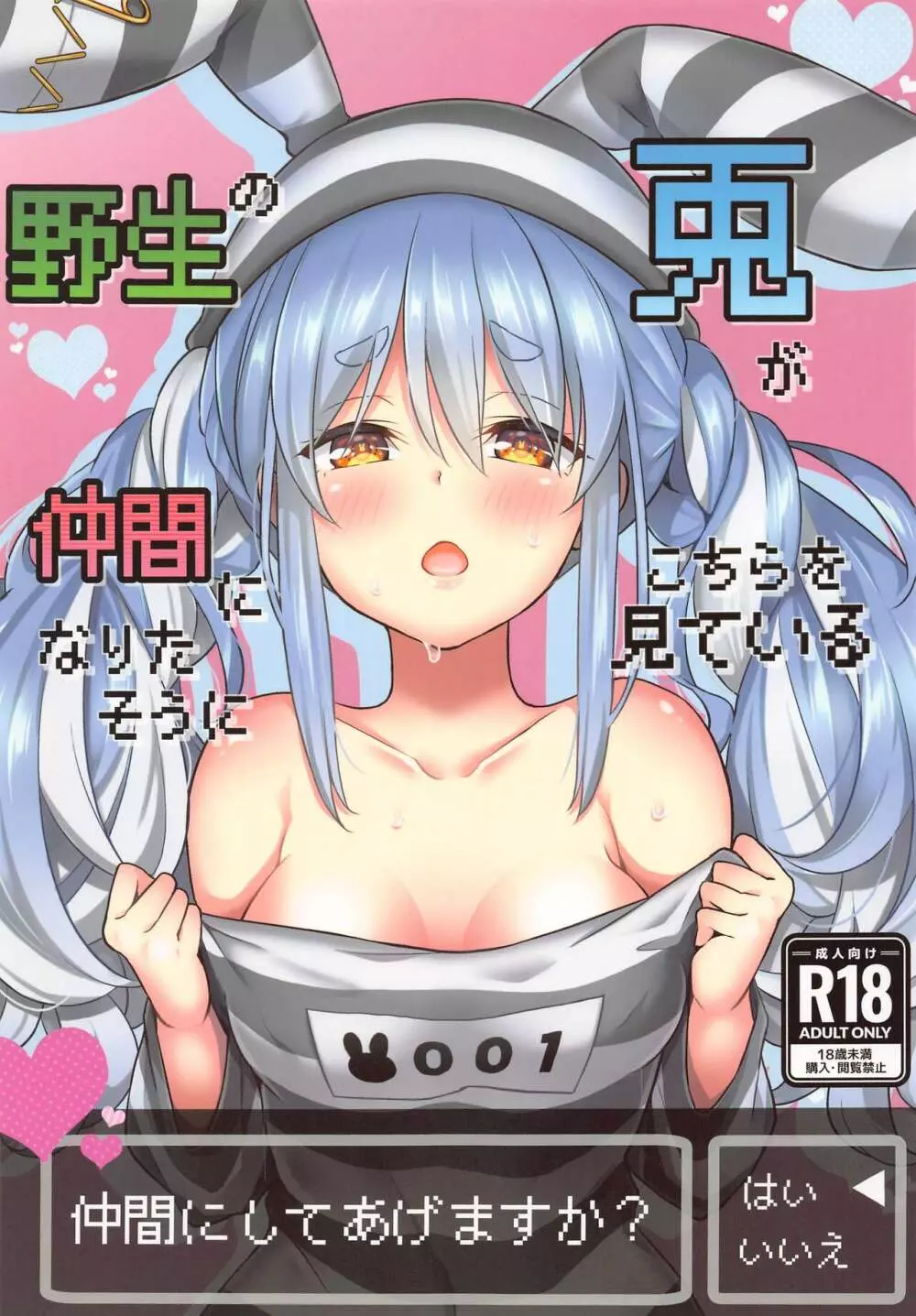 野生の兎が仲間になりたそうにこちらを見ている
