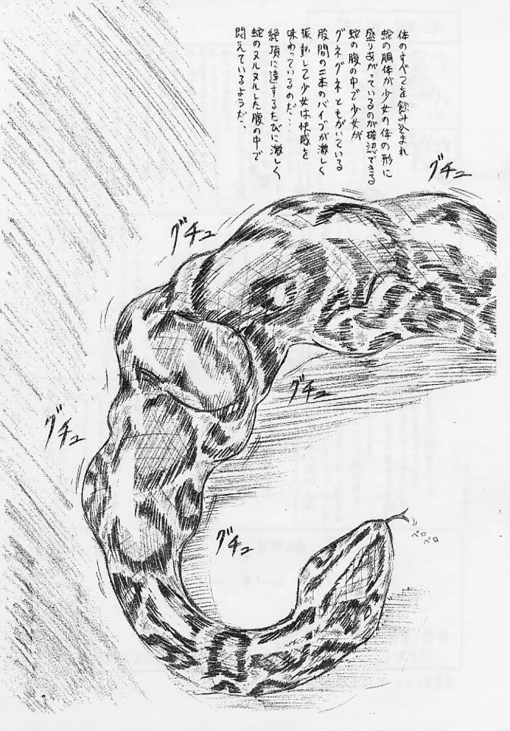 びびあん別冊.02びびあん別冊.02 でぃずぃ－肉の蛇袋－ - page13