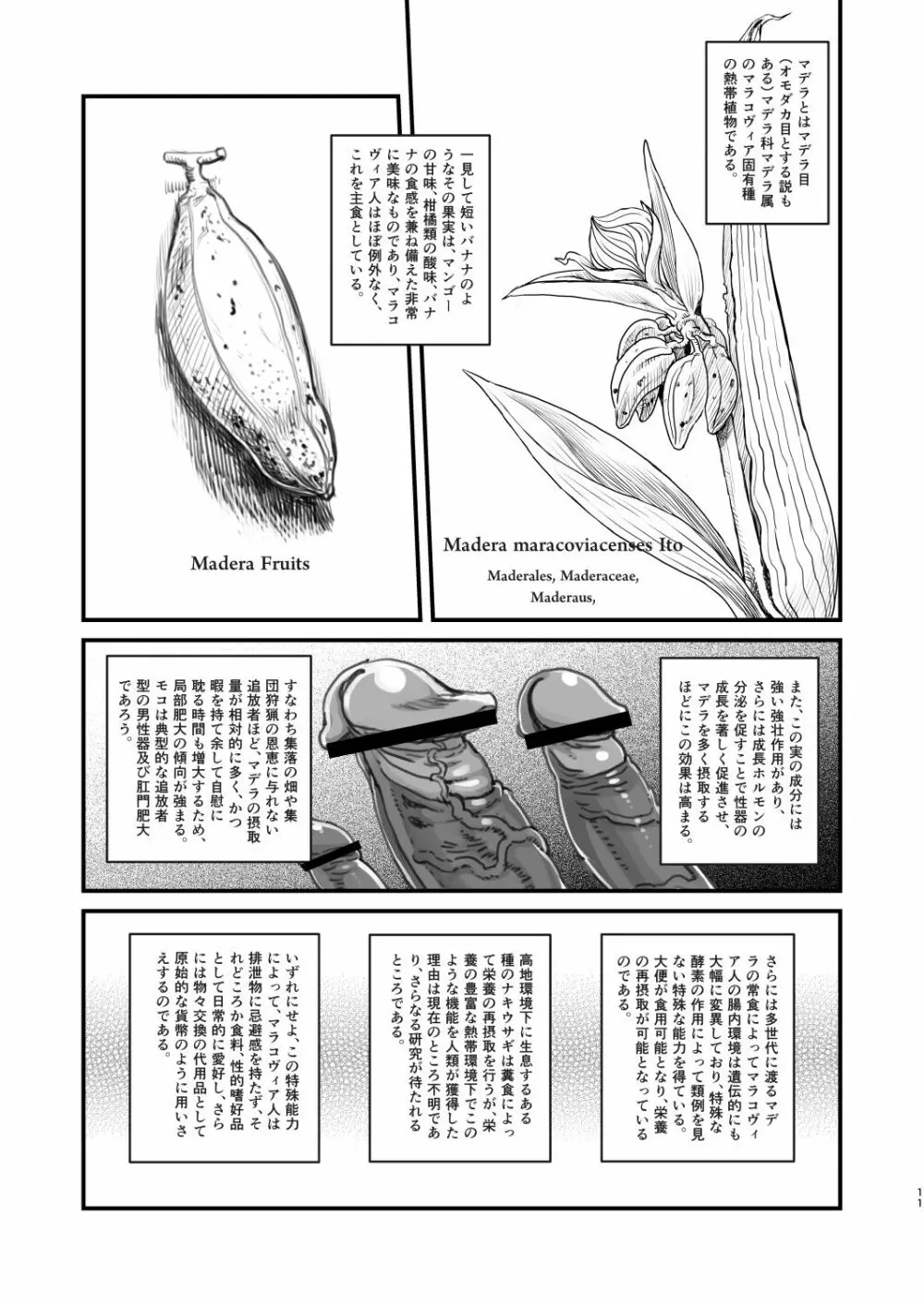 男根のエスノグラフィ ─マラコヴィアの性と排泄─ - page11