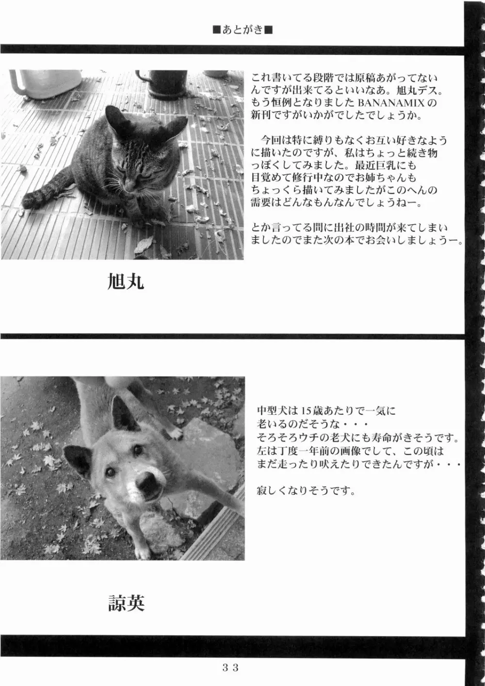 バナナミックス6 - page32
