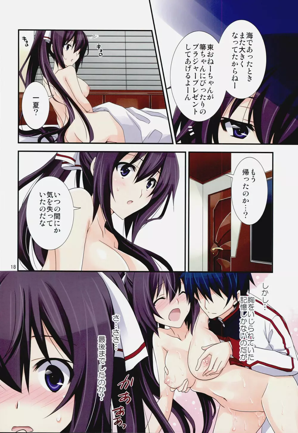 Burst Up！Infinite Stratos FAN BOOK - page18