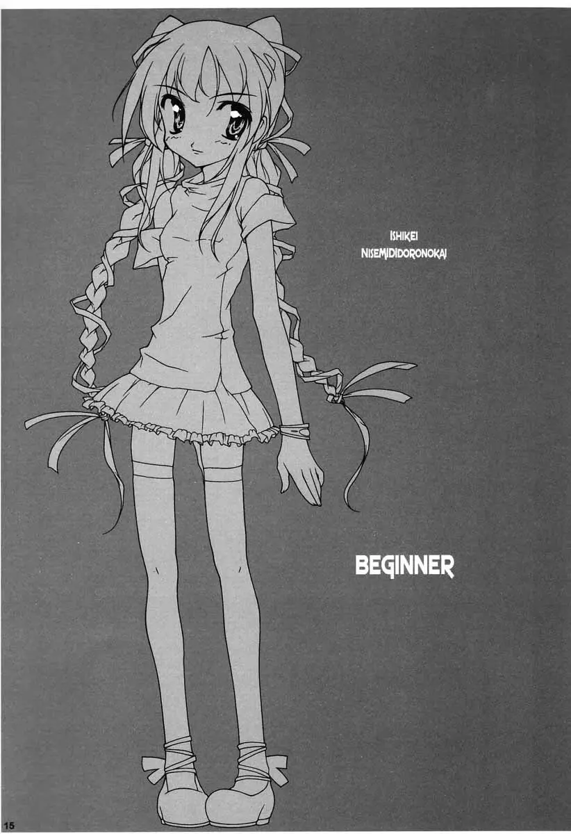 BEGINNER - page14