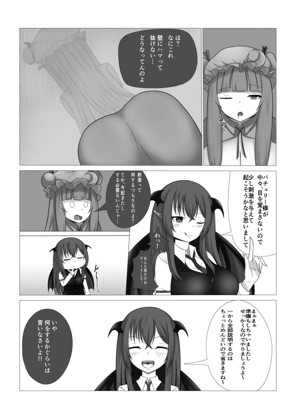 パチュリー様の壁尻本 - page4