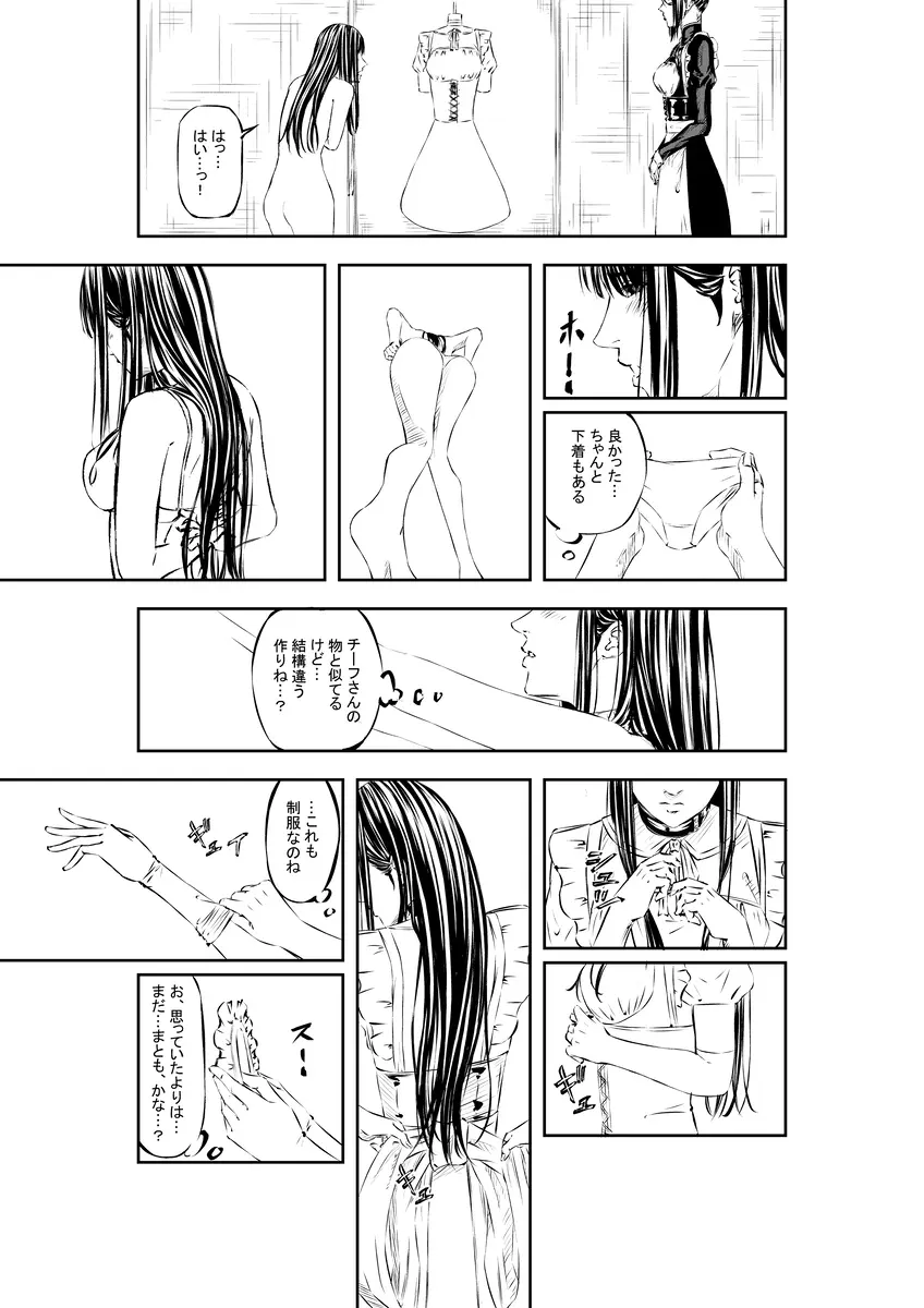 M.A.I.D.S system - page10