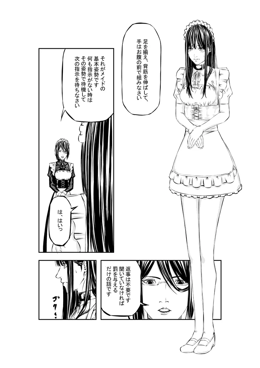 M.A.I.D.S system - page11