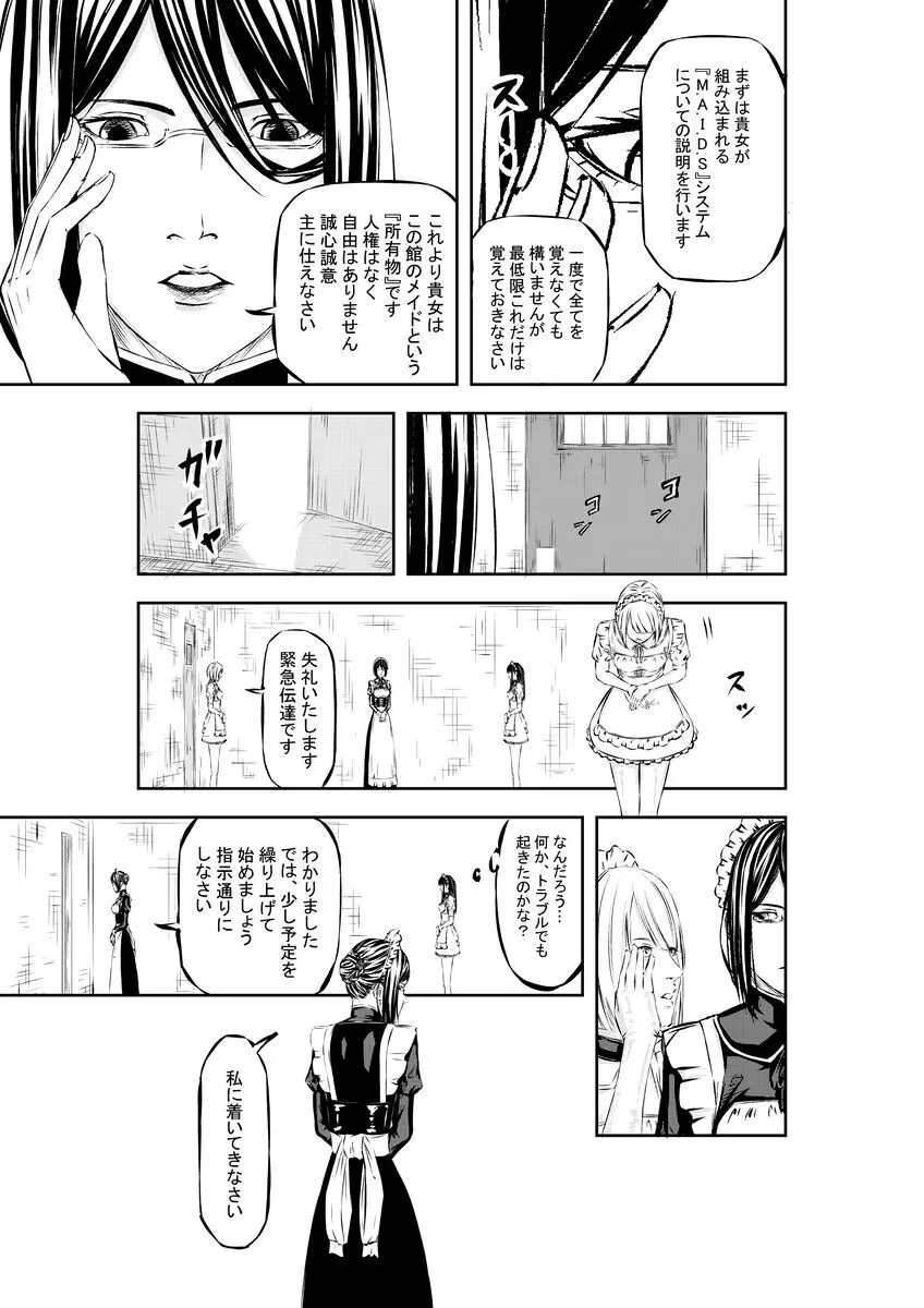 M.A.I.D.S system - page12