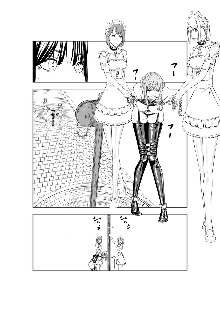 M.A.I.D.S system - page14