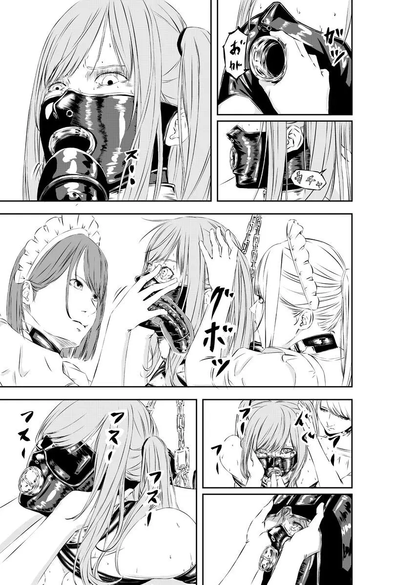 M.A.I.D.S system - page19