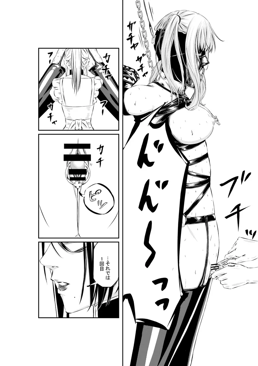 M.A.I.D.S system - page24