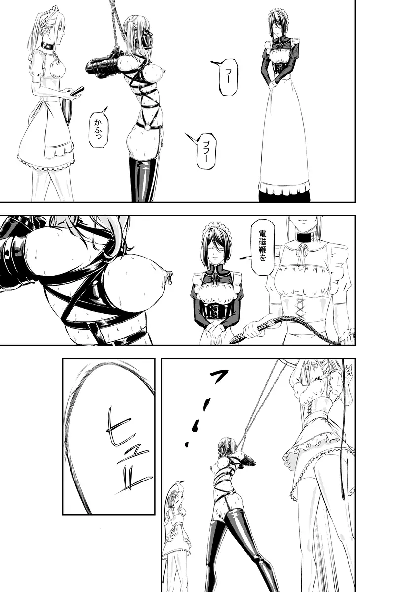 M.A.I.D.S system - page27